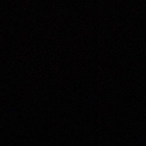 Meet your Posher, Chayse